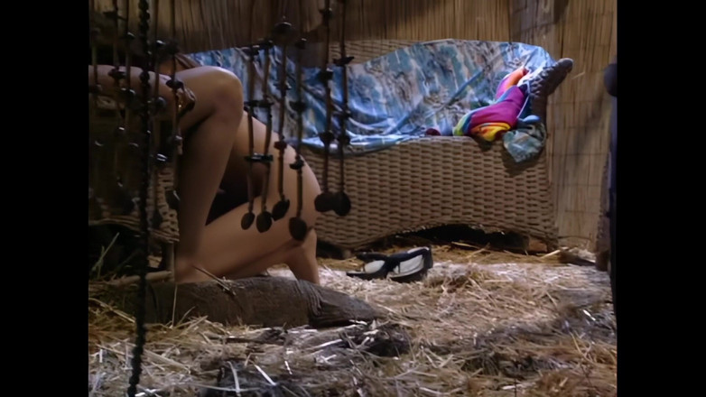 Blitzporn: Genç ve egzotik bir güzellik, yaz akşamı sahilde büyük bir...