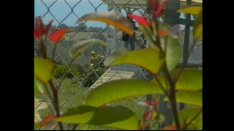 MCG Empire: Seks yang belum pernah terlihat sebelumnya