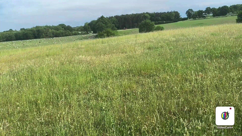 Mia XXX: Miaxxx sesso con l'ex ragazzo