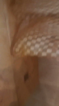 Latin Human Toilet Doing Her Piss in Mouth Job to Husband