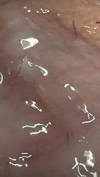 Big White Penis Squirts in Closeup