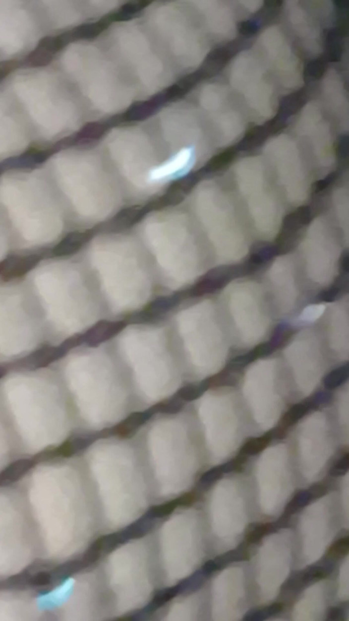 Vikingo azul: Stiefschwester Wurde Wie Eine Schlampe Gefickt, Trägt Sexy Dessous Für...