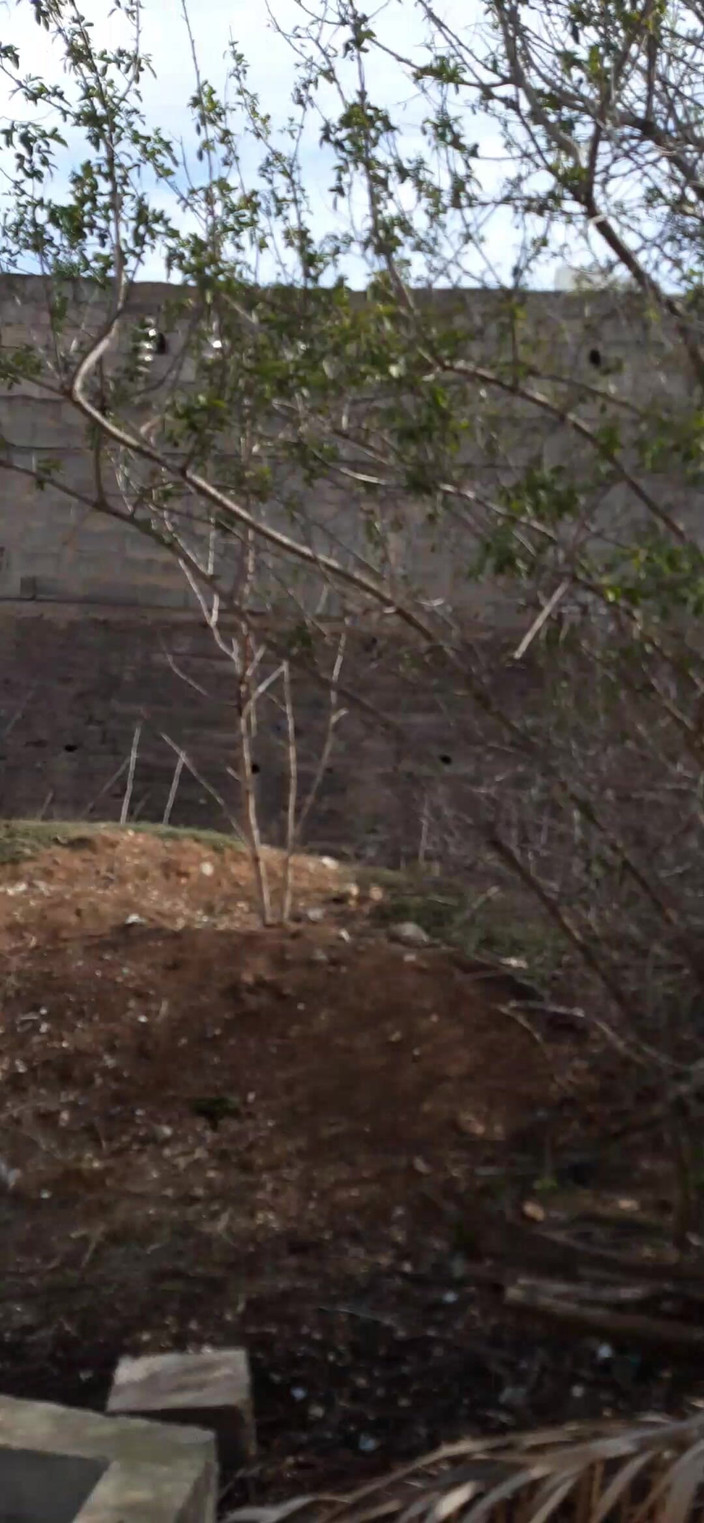 Orinadas_jmv54: ハイ・アンド・ラージ・ピス