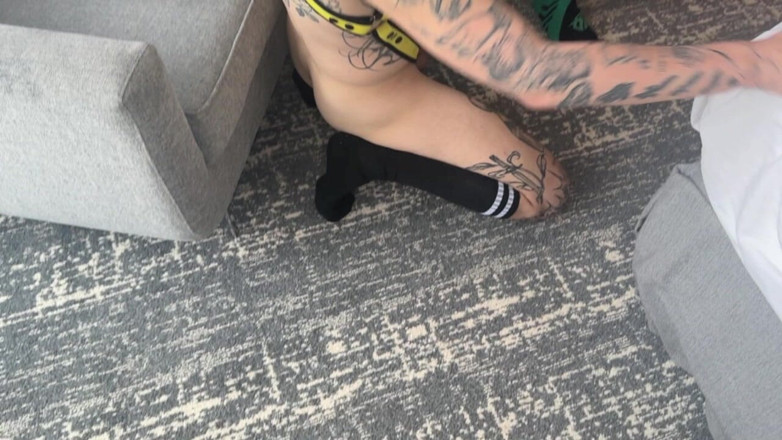 Tatted Fxggot: Cuccioli arrapate che scopano