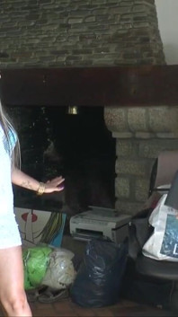 Pierced big ass babe likes to deepthroats and hard ass-fuck