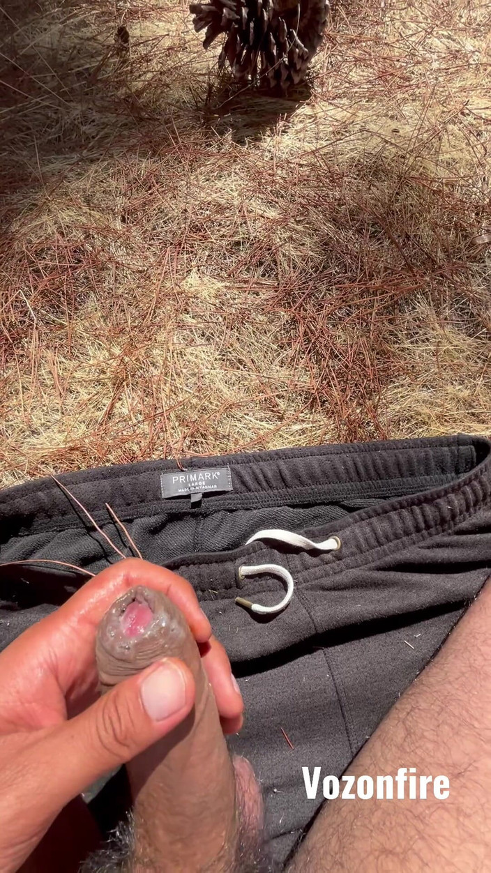 Hardnoisex: Punkt widzenia W tajemniczym lesie sam