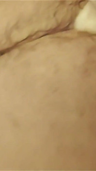 Hairy Bear Fuck Machine