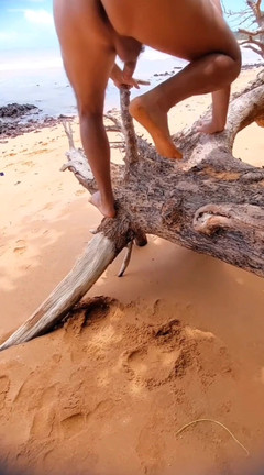 Ladysilvas: Ladysilva