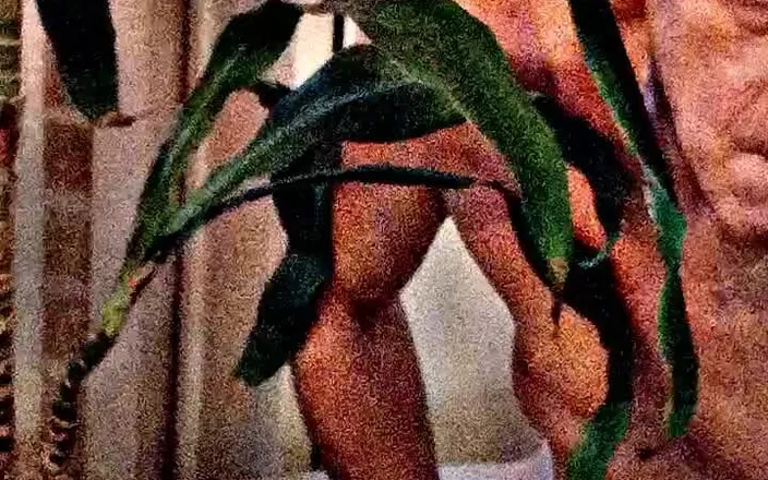 Chrisstrongcock69: Chrisstrongcock Lotionedd up and Ready to Fuck.