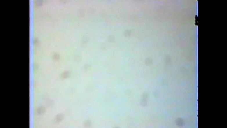 The Unforgettable: Vanessa ialah babi sialan