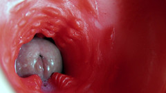 SEXY_GUYBEST: Super Quality Squelchy Wet Hole Asmr Camera Inside