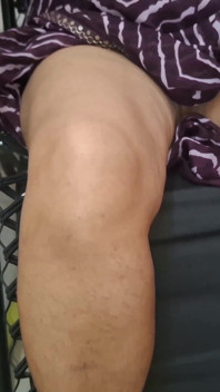 Housemaid Fun Horny Maid