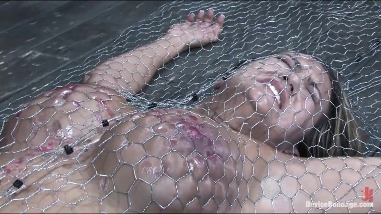 Device Bondage by Kink: Penned in