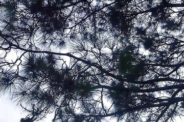 Gangbang straight: Omaggio di piscio sul campo enorme cazzo indiano