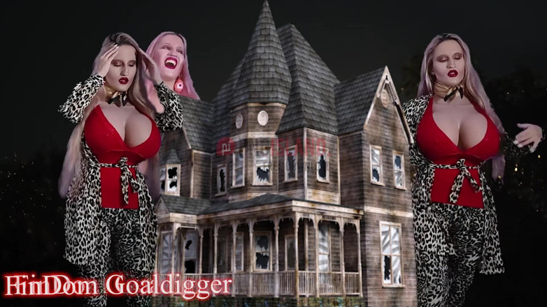 FinDom Goaldigger: Transformasi yang hebat