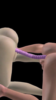 Animated 3D Porn - Beautiful Girl and Asian Man Double Dildo Doggy While Man Stroking