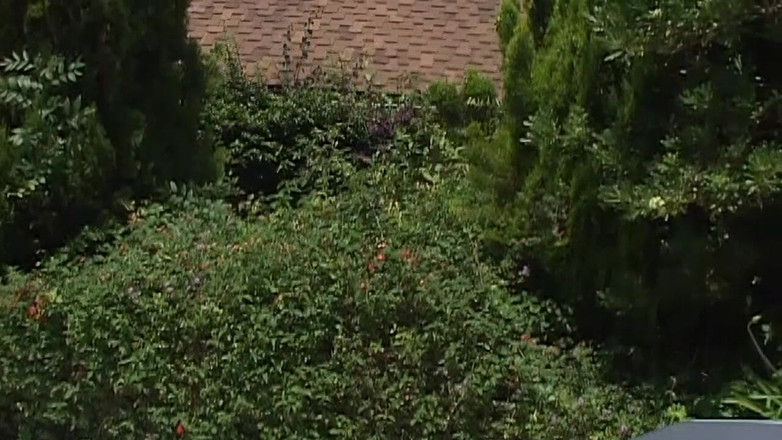 Watch Dirty Movies: Geile weiße MILF bekommt ihre enge feuchte muschi voll von...