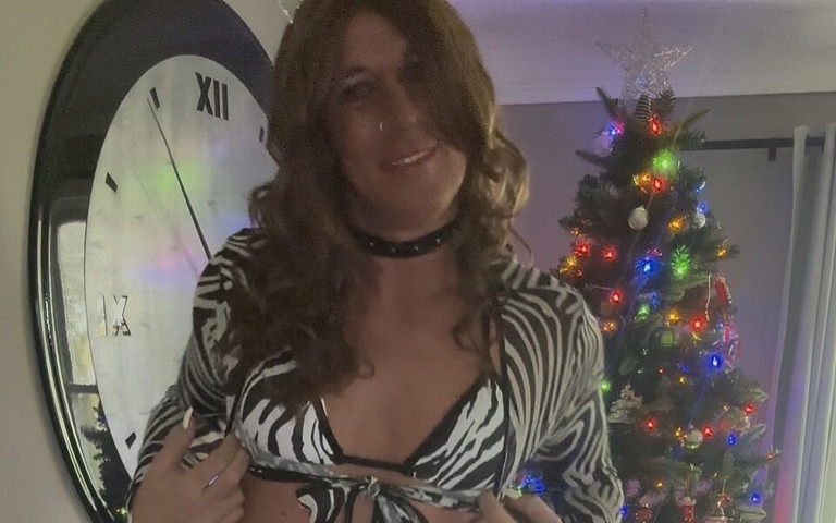 Zebra Print (Orlandi480) Zebra Print (Orlandi480)
