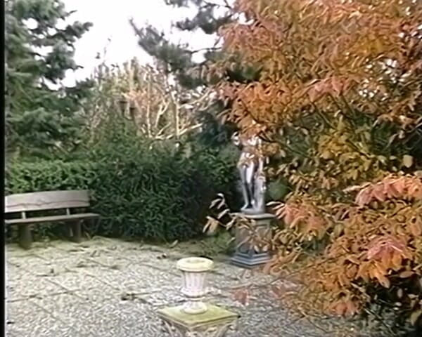 GERMAN PORN CLASSICS: Leidenschaft Pervers - пристрасть збочена