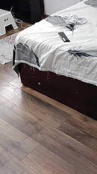性感的妻子在家里裸体锻炼。