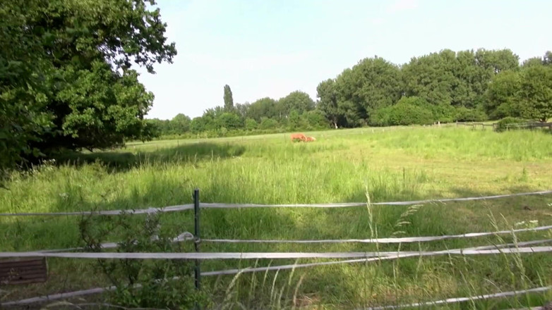 Deutschland Porno X: Black Monster Cock Destroys Two Wet Sluts in the Park