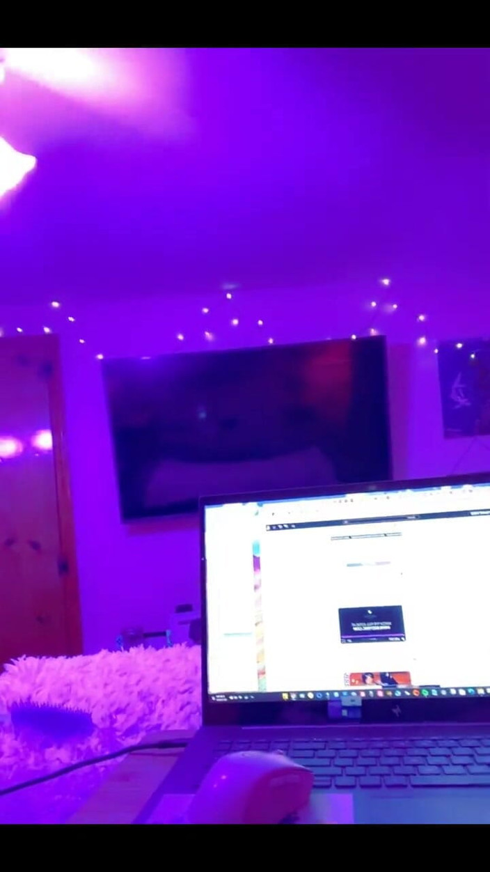 PaintedRose: Den sista av stinkenbugs för natten