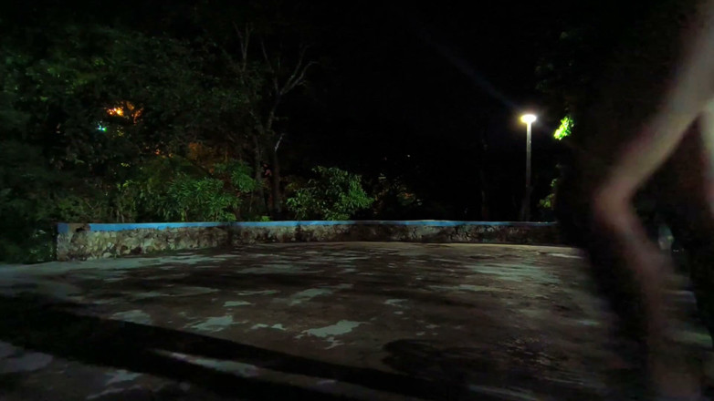 Samanta sucubo: Berjalan kaki singkat di taman