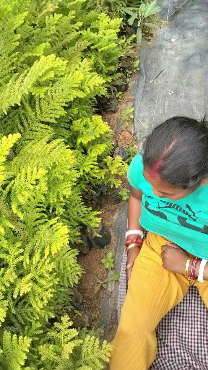 Mg3947731: Video lengkap istri hot india