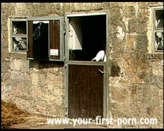 GERMAN PORN CLASSICS: Heidi 1 Teil 1- Auf Der Heidi Gibt´s Koa Sünd Herzog Video