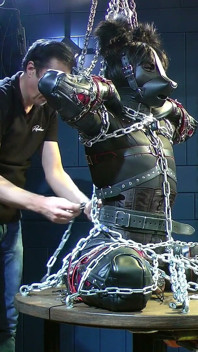 Furry Puppy in Thick Chains Corset, Armbinders & Stress Pose
