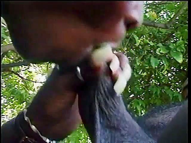 Hot and Wet: Nadržená černá MILFka klečí a kouří kluka u bazénu a pak šuká