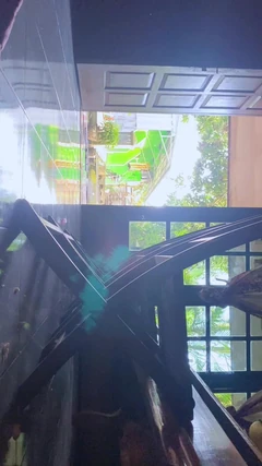 Druhý den Eid Al-Adha se koná v domě in-laws