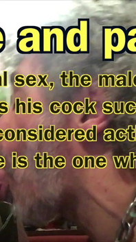 Gaysex Book - 1 land chusaee