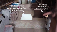 Mark Hannes: クイック・オールド・ストレージ・ハング・マスターベーション