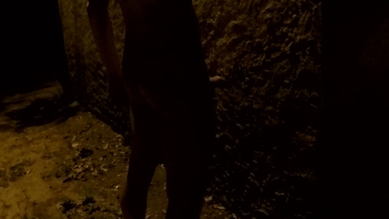 outdoor-fun: Rejs po parku w Nigth