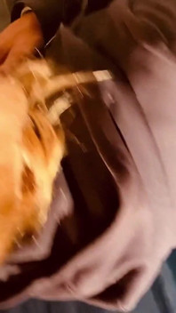 Momenti di sborra in bocca