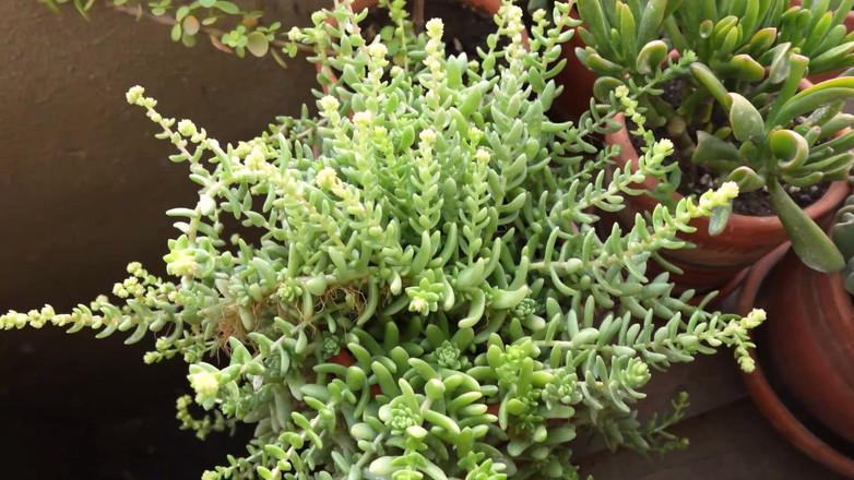 LunaBigBooty: Dzień Sfw, dzień zabawy, pokażę ci, jak wygląda dzień filmowania