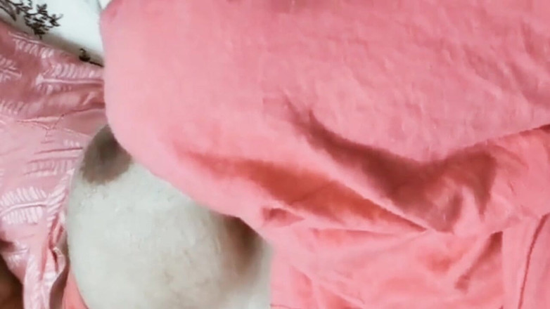 Joya Malik: Nadržený Devar a desi bihari sex video jeho Bhabhi