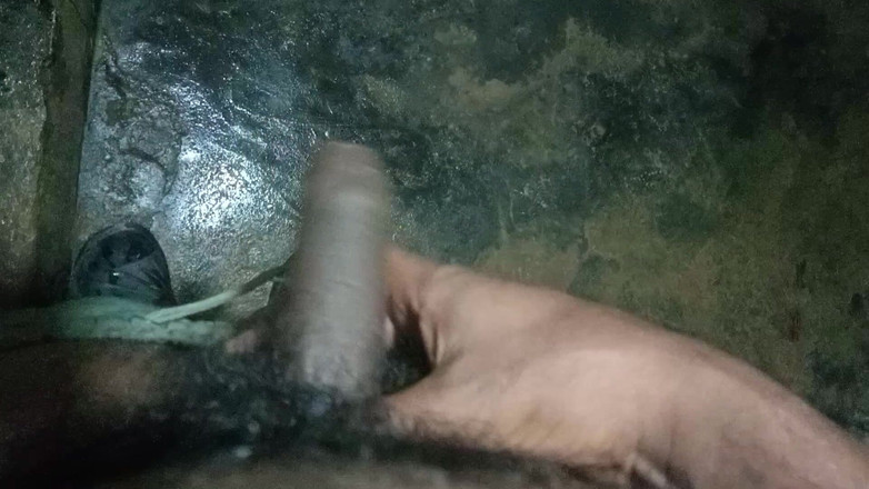 John Denver: デシ・ソロ