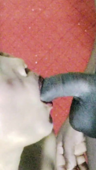 Desi Girl.extreme Tied up Facefucking for a Submissive Indian Slut