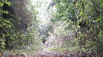 Movies by Louise: Down beside the railway cutting