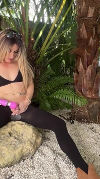 Sasha Jungle Nylons
