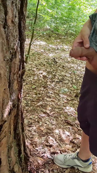 Enojada en el árbol Caminata desnuda en el bosque