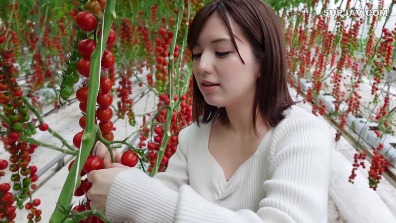 Studio Modern Shunga - JAV: Asian angel 7402