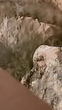 Horny Redhead Babe Fingers Pussy on Wild Beach