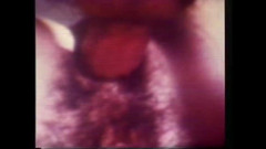 The Unforgettable: Смачний і спокусливий клітор