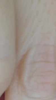 Clitoris and Vagina