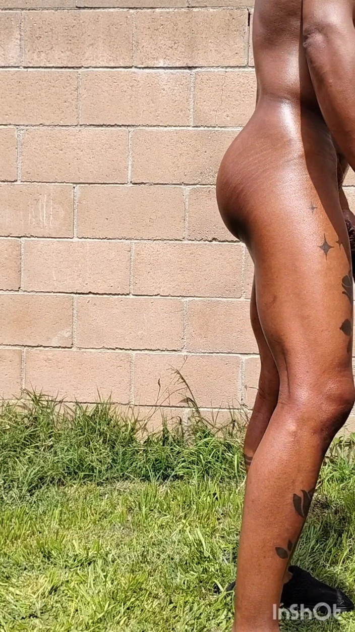 Batbunz: 다시 뒷마당에서 너트를 흉상을 물