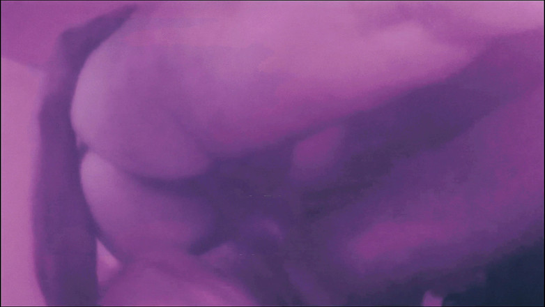 Lily & Theo: El carnaval es tiempo de pecar, de satisfacerme en tu...