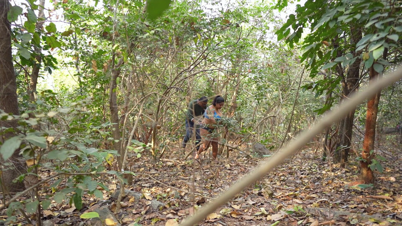 JAYESH GUPTA: Una ragazza solitaria nella giungla fa sesso